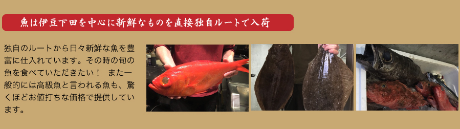 魚は伊豆下田を中心に新鮮なものを直接独自ルートで入荷 独自のルートから日々新鮮な魚を豊富に仕入れています。その時の旬の魚を食べていただきたい！  また一般的には高級魚と言われる魚も、驚くほどお値打ちな価格で提供しています。